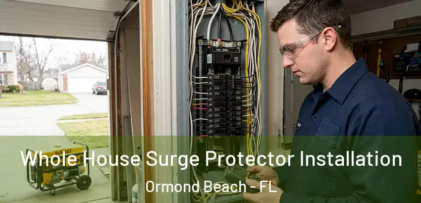 Whole House Surge Protector Installation Ormond Beach - FL